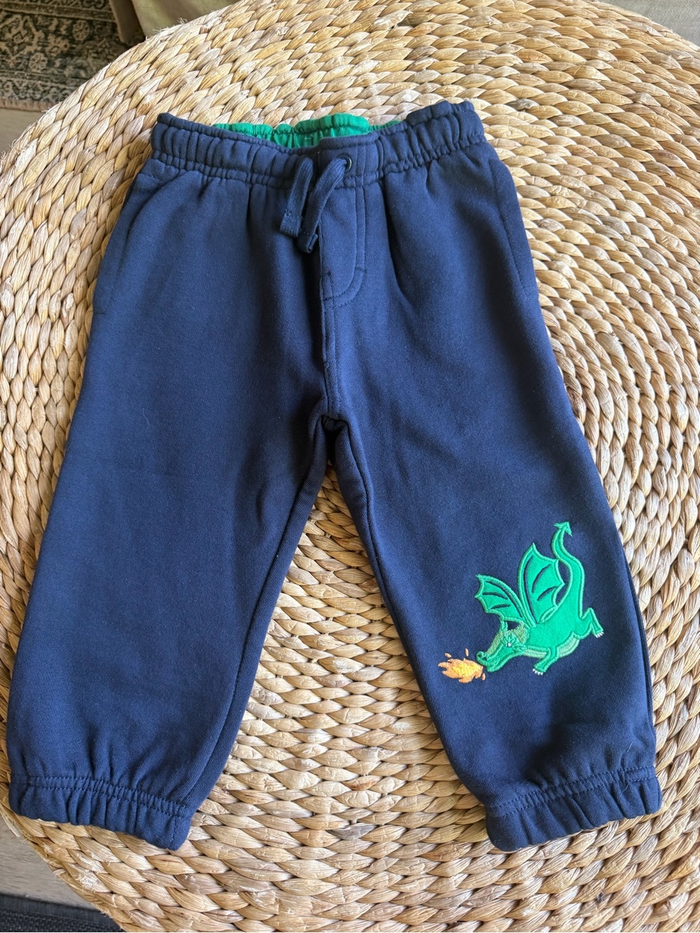 Gymboree Dragon Fleece Pants